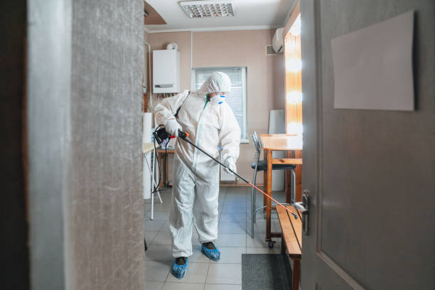 Mold Odor Removal Services in Renville, MN